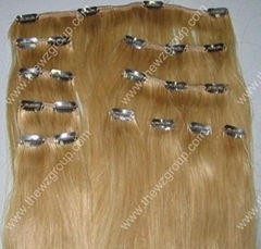 clip-in hair extension 