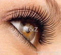 beautiful fake eyelash  1