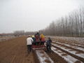 Potato planter(drip type) 5