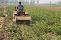 Potato Stem Crusher 3