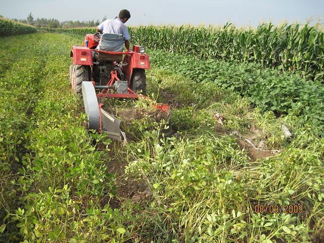 Potato harvester 3