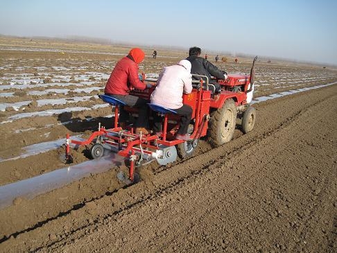 Potato seeder(rotary type) 5