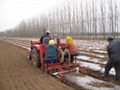 Potato seeder(drip type) 3