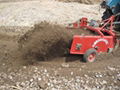 Potato harvester