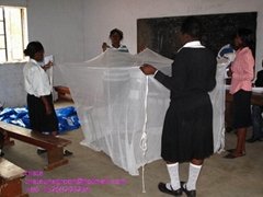 long lasting insecticide treated mosquito nets against Malaria