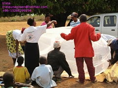 medcially treated mosquito nets against Malaria