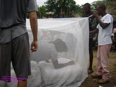 medcially 100%polyethylene treated mosquito net against Malaria
