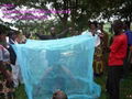 medcially treated mosquito net against