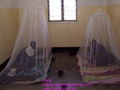 long lasting insecticide treated mosquito nets against Malaria 1