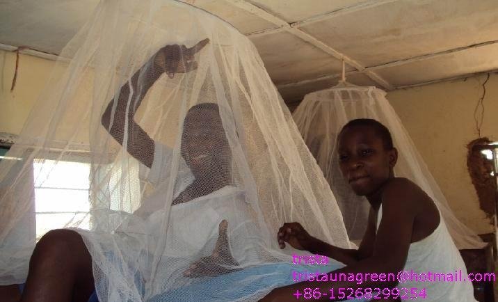 long lasting insecticide treated mosquito net against Malaria