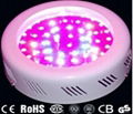 LED grow light 50w 1