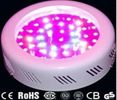 LED grow light 50w