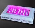 LED grow light 200w