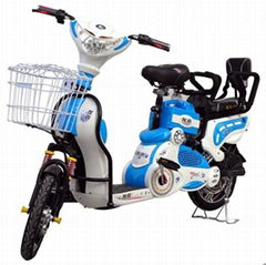 Electric Bike TDR102Z