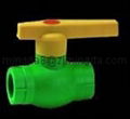 PPR valves 2