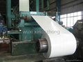  xindazhong PPGI,pre-painted galvanized steel coil