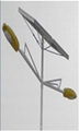 LED solar street light 1