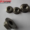DIN6923 titanium hexagon flange nut 1