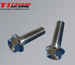 DIN6921 titanium hexagon flange bolt