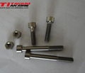 Titanium bolt and nut 1