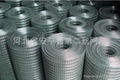 welded wire mesh