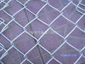 chain link fence