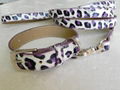 leopard dog collar leash