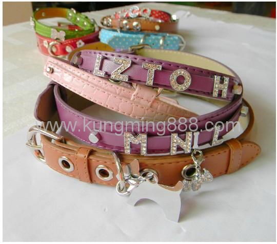 Rhinestone slide letter dog collar and leash