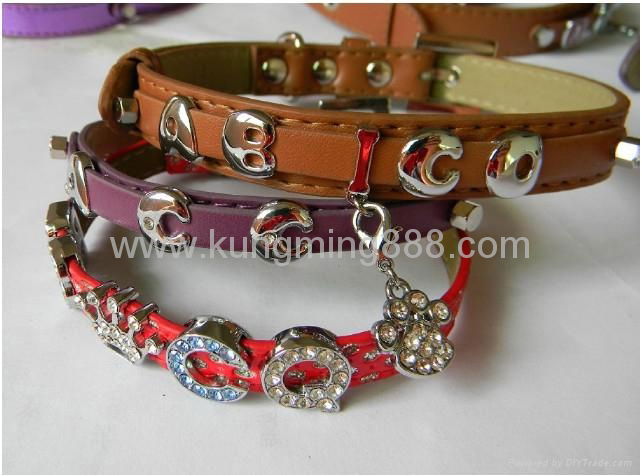 Rhinestone slide letter dog collar and leash 2