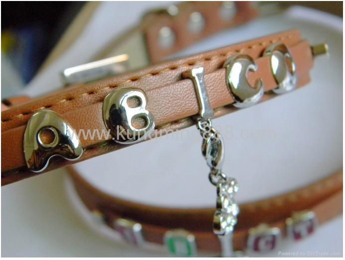 Rhinestone slide letter dog collar and leash 4