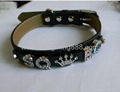 Pet colalr Rhinestone slide letter collar and leash 1