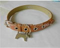 Pet colalr Rhinestone slide letter collar and leash 4