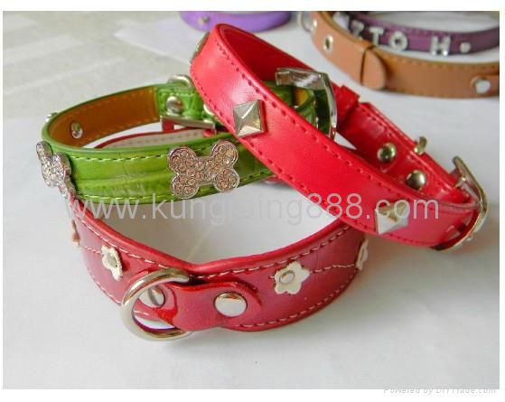 Dog collar and leash