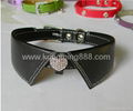 Dog collar and leash 2