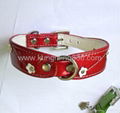 Dog collar and leash 5