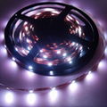 flexible led strips  1