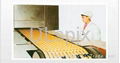 Toughness Biscuit machine And Toughness Biscuit production line 1