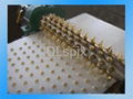Automatic Egg yolk cake machinery and production line 1