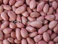 peanut kernels 1