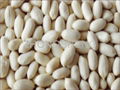 Blanched peanut kernel