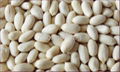 Blanched peanut kernel 2