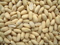 Blanched peanut kernel 4