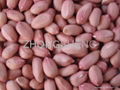 peanut kernels 2