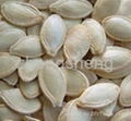 Shine skin pumpkin seeds 2