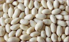  New crop blanched peanut kernel