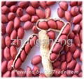 Red skin peanut kernel 4