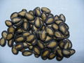 Black watermelon seeds 1