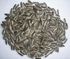 Chinese hulled sunflower seeds