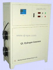 10L/min PEM Hydrogen Generating Plant