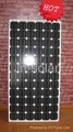 175W MONO solar panel 1